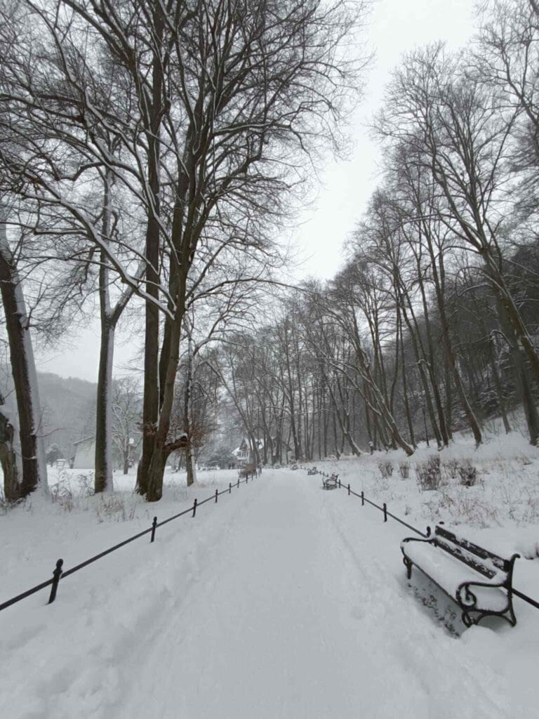 Ojcowski Park Narodowy - szlak na 1 dzień Ojcowski Park Narodowy zimą