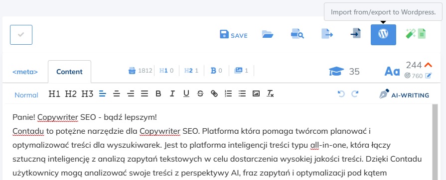 Panie! Copywriter SEO - bądź lepszym w WP! Copywriter SEO