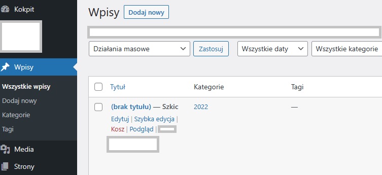 Panie! Copywriter SEO - bądź lepszym w WP! Panie! Copywriter SEO - bądź lepszym w WP!