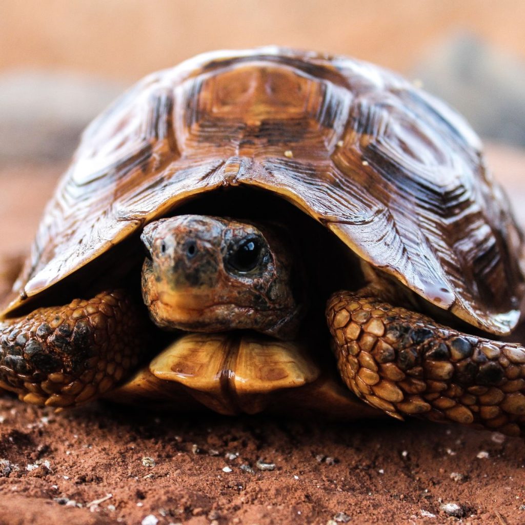 Minimalizm i slow life Minimalizm i slow life
