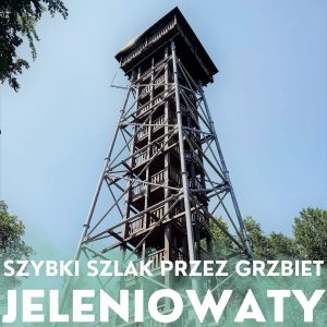 Szlak „Brenzberg” oraz wieża widokowa na szczycie Jeleniowatego w Bieszczadach