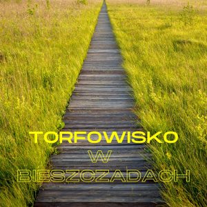 Torfowisko Tarnawa w Bieszczadach: Tajemnice Bieszczadzkich Torfowisk