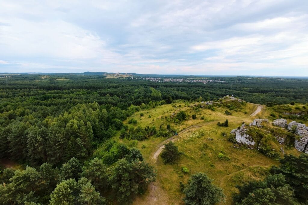Góry Towarne na szlaku Orlich Gniazd Góry Towarne na szlaku Orlich Gniazd