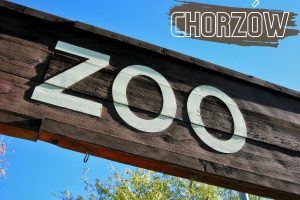 Śląski Ogród Zoologiczny w Chorzowie