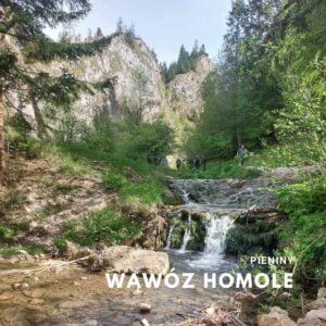 Wąwóz Homole: Najpiękniejszy szlak w Małych Pieninach – Rezerwat przyrody w sercu Pienin